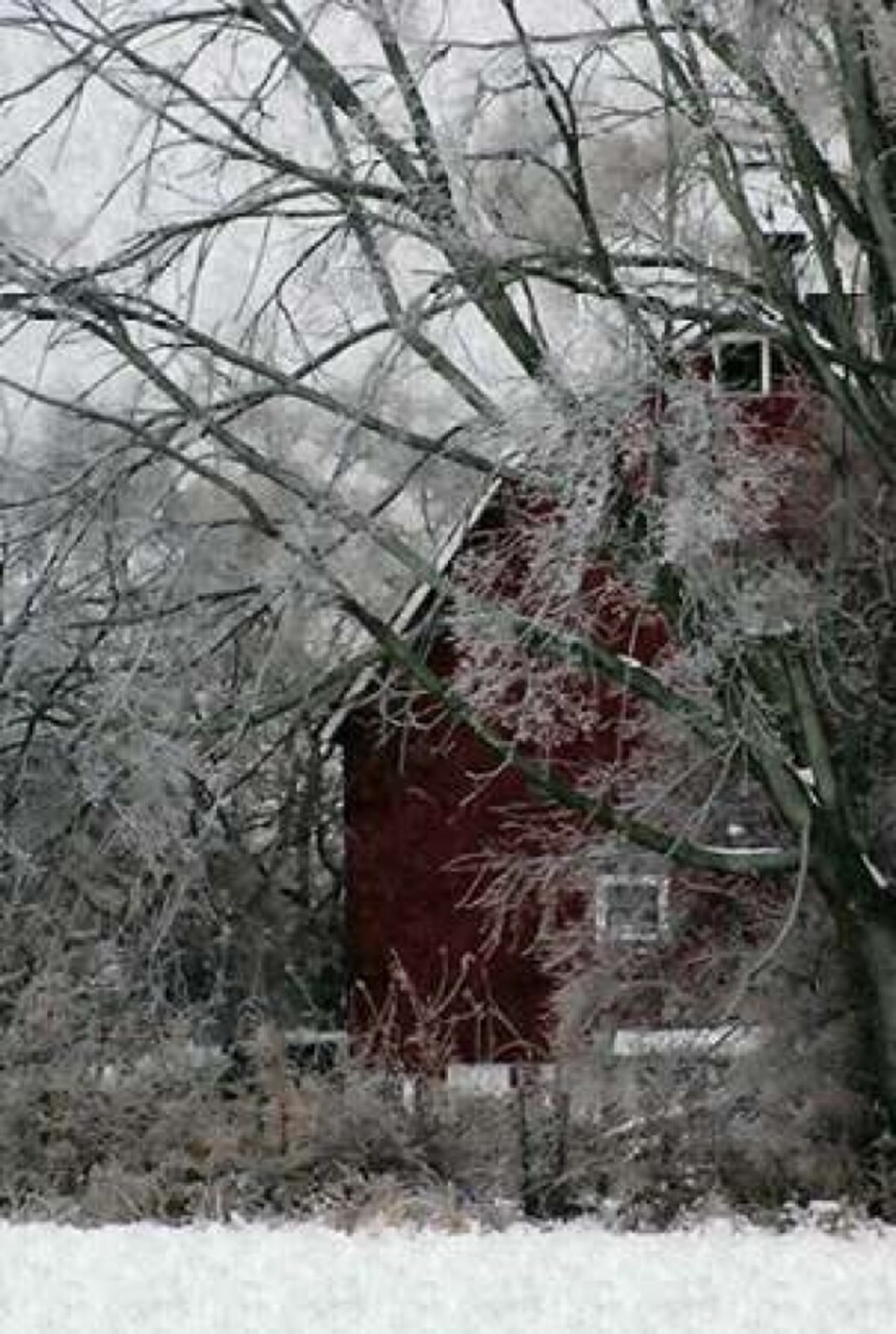 Sheltered Poster Print by Denise Romita - Item # VARPDXRB9640DR